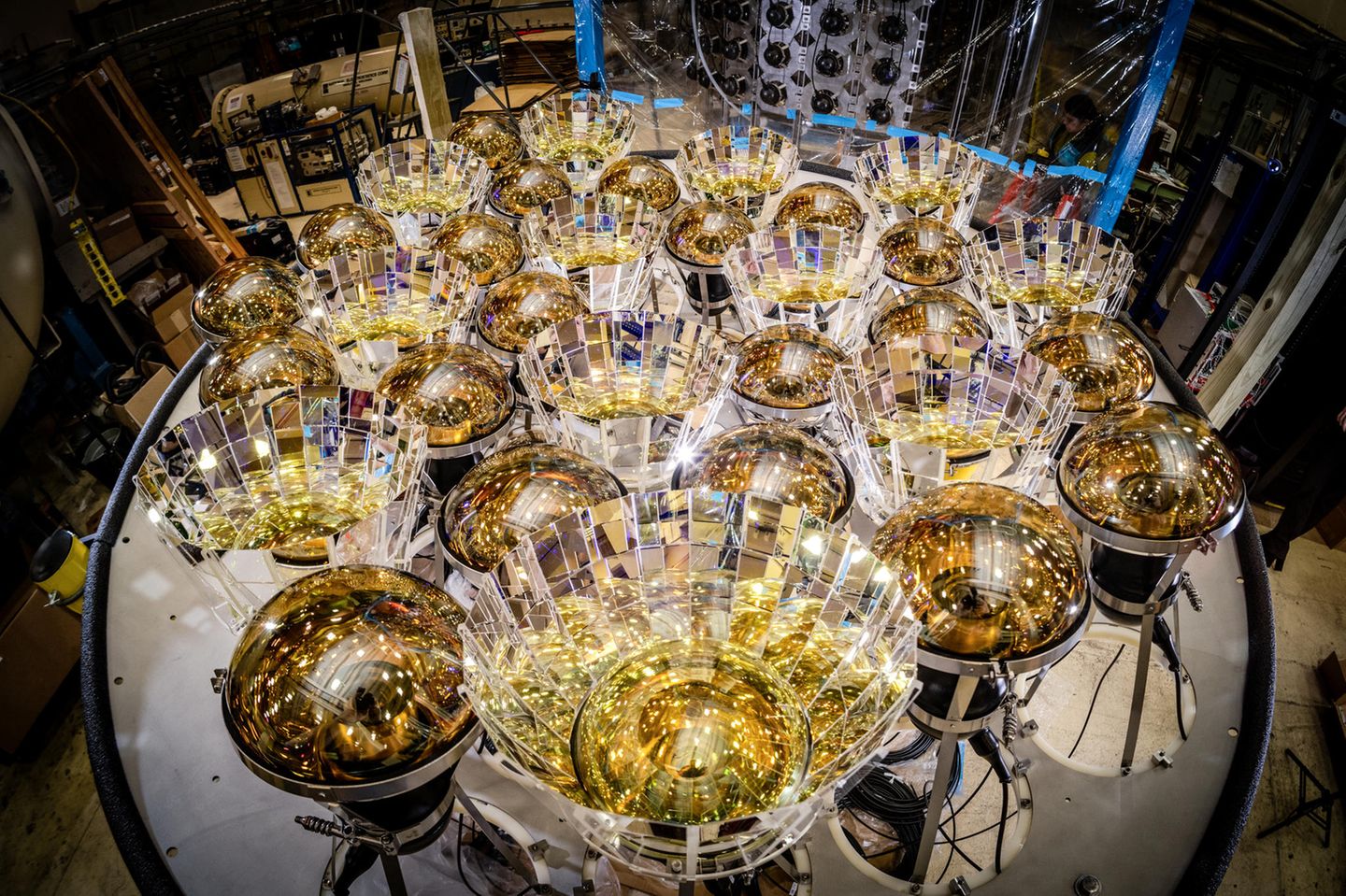 Nach Neutrinos. Was anmutet wie goldglänzende Christbaumkugeln, sind in Wirklichkeit Photodetektoren: Bauteile des EOS-Detektors, der gerade an der University of California Berkeley entsteht. Ab dem kommendem Jahr werden sie auf schwache Lichtblitze lauern, die in einem Tank im Herzen des Detektors aufleuchten und so die Gegenwart von Neutrinos anzeigen sollen. Die superleichten Teilchen entstehen bei Kernreaktionen, etwa in Atomkraftwerken oder im Innern der Sonne. Milliarden von ihnen durchströmen jede Sekunde unbemerkt unseren Körper. Physiker*innen können die Geisterteilchen nur vermessen, indem sie deren Wechselwirkung mit anderen Partikeln auswerten. EOS tut das erstmals mithilfe zweier Techniken, die unterschiedliche Arten von Strahlung messen. Gemeinsam sollen sie unser Bild vom verborgenen Treiben der Neutrinos schärfen.  KW 48  Bildlizenz: CC BY 4.0       