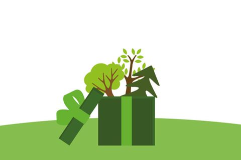 Schutz schenken: Urkunden für alle Anlässe