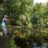Jan van IJken holt Plankton aus einem Gewässer