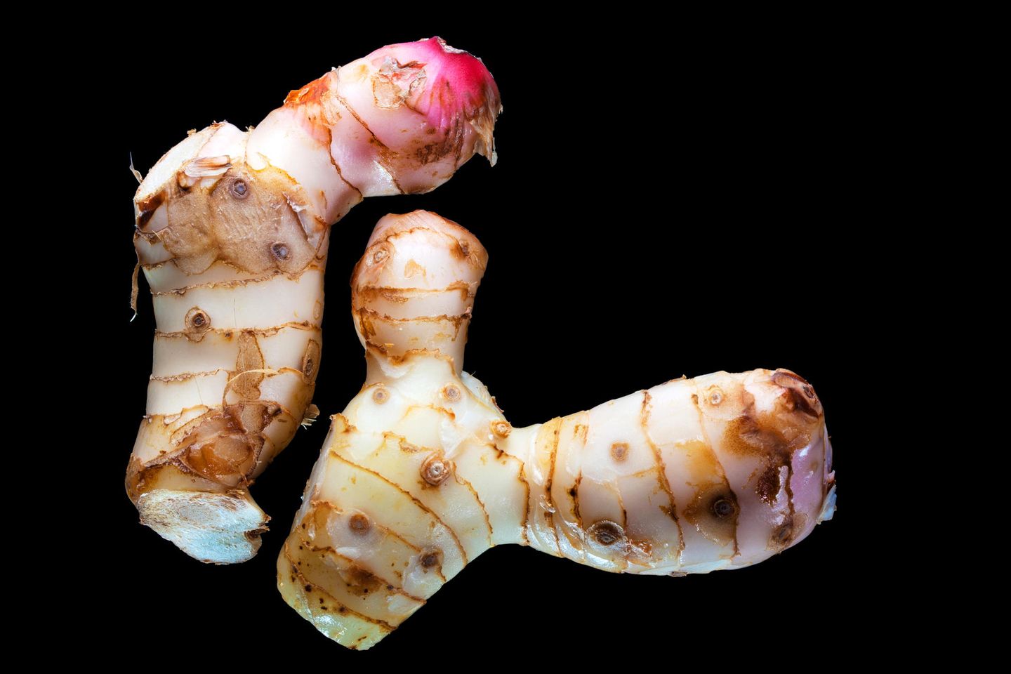 Galgant: Asiatische Küche Galgant