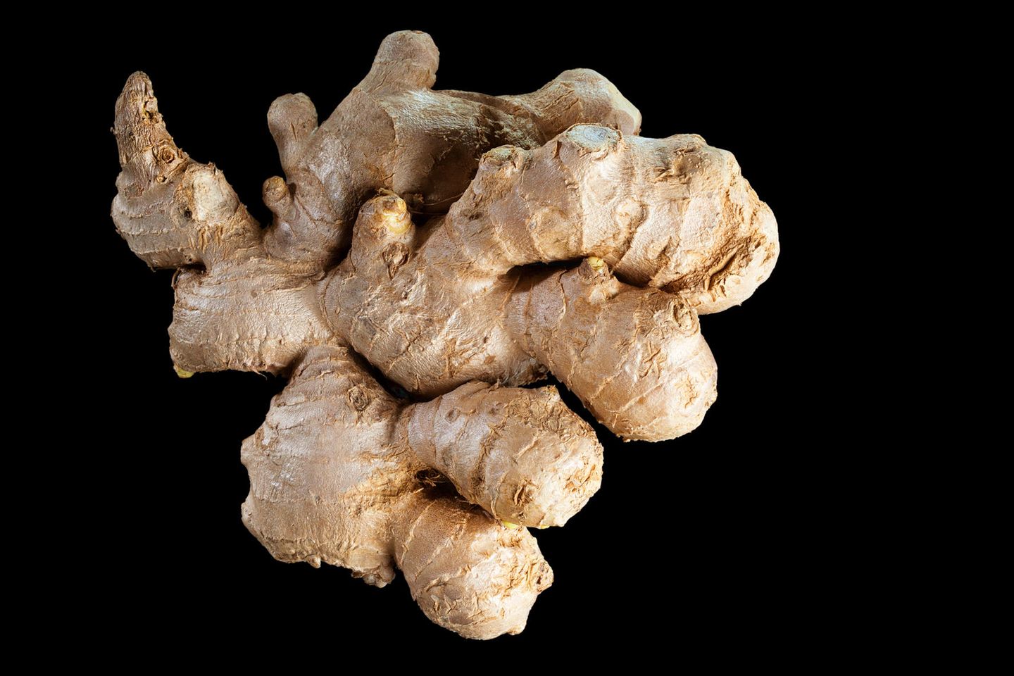 Ingwer: Frische Schärfe Ingwer