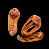 Macis oder Muskatblüte