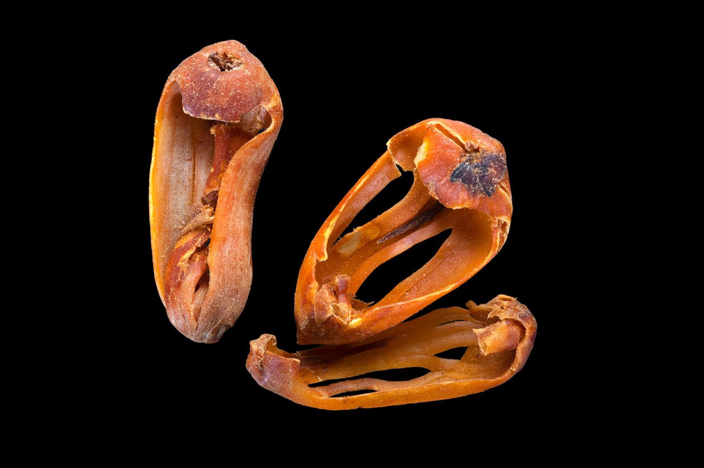 Macis: Mildes Muskat Macis oder Muskatblüte