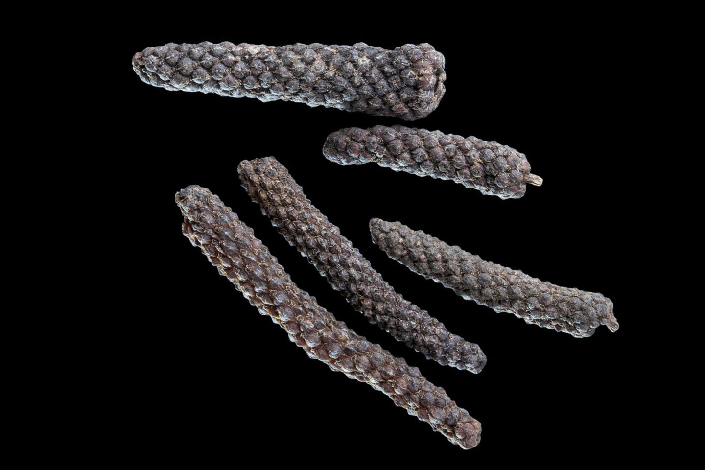 Langer Pfeffer – eine süßliche Schärfe