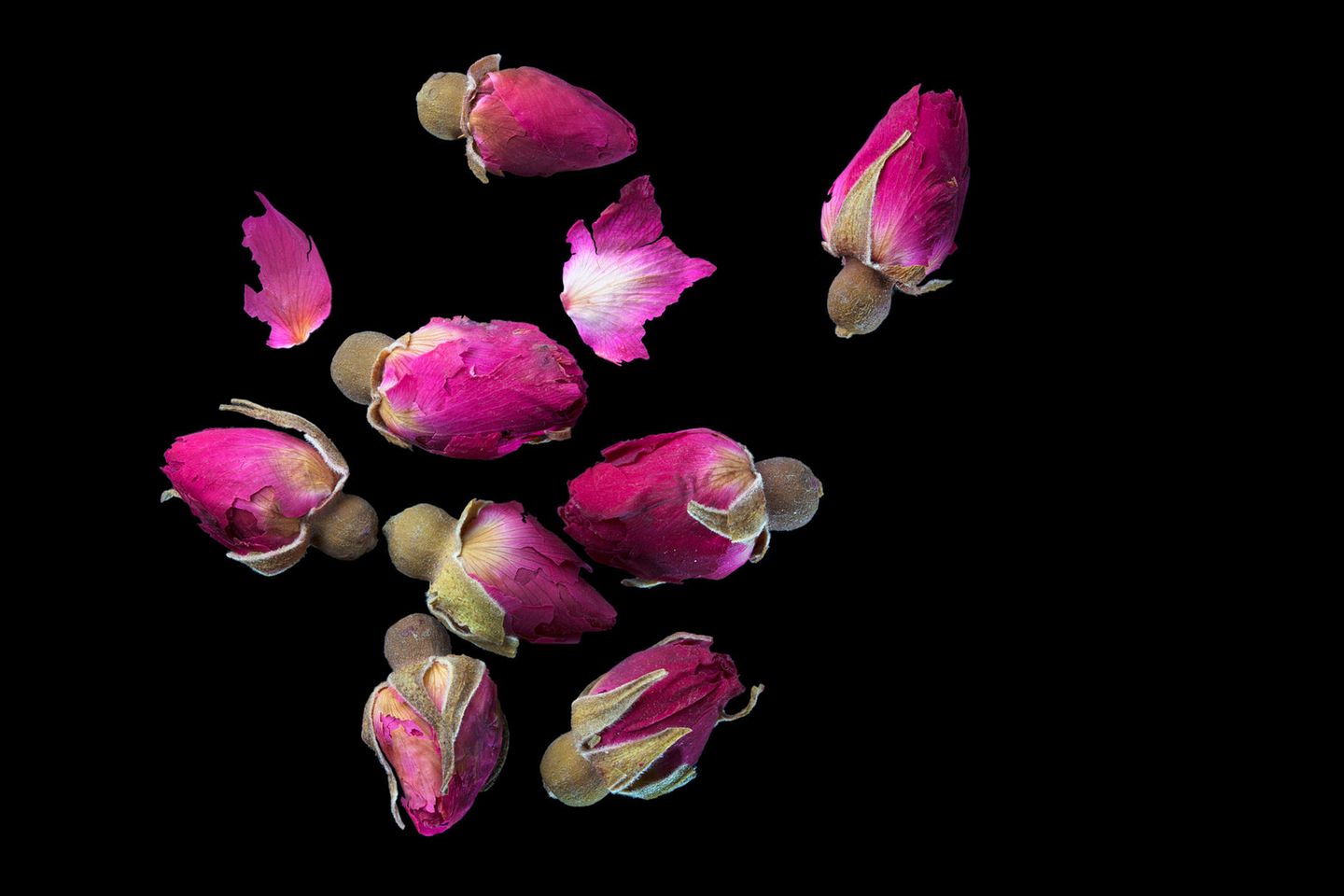 Rosen: Orientalisches Aroma Rosenblüten