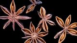 Sternanis