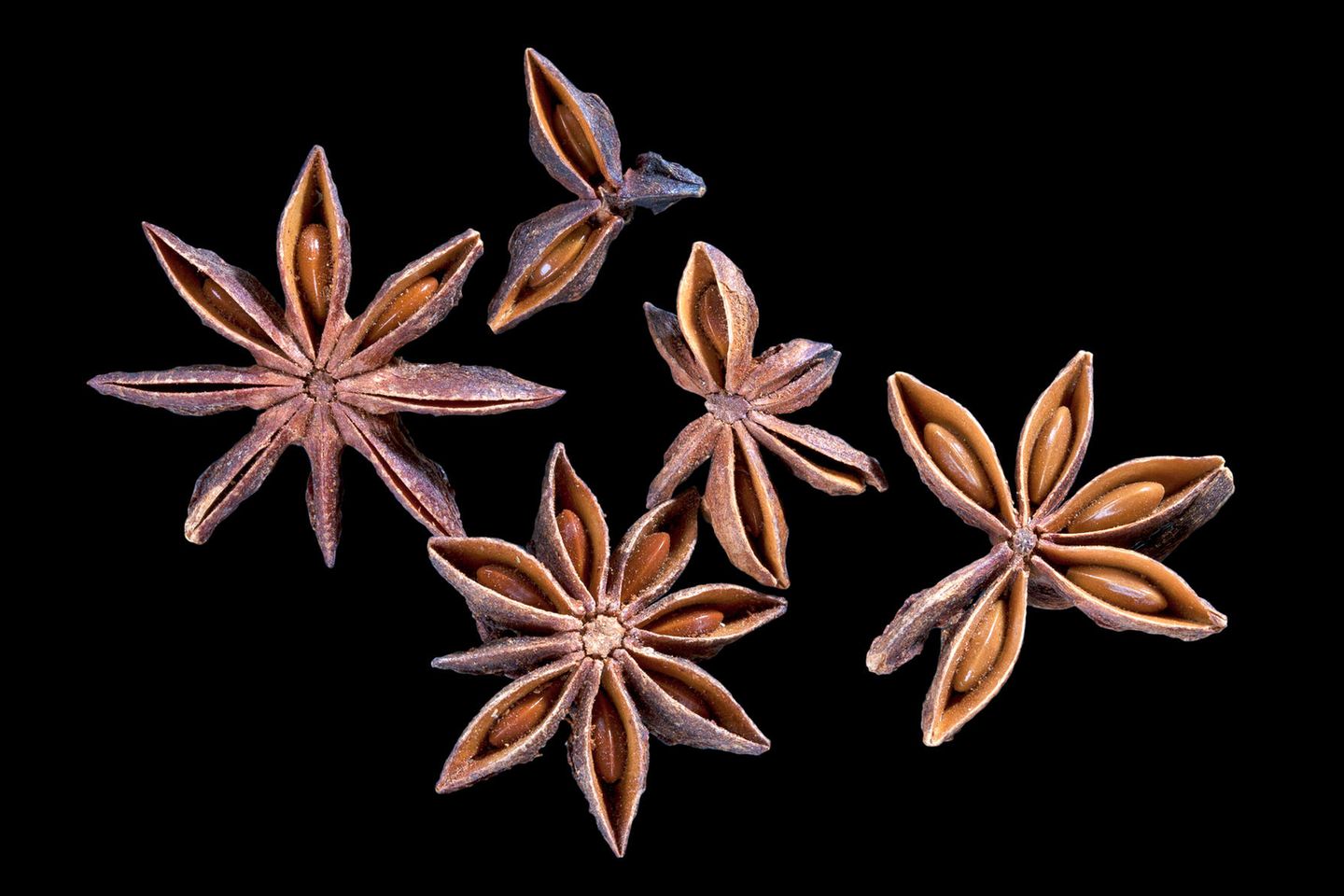 Sternanis: Schmorgut Sternanis