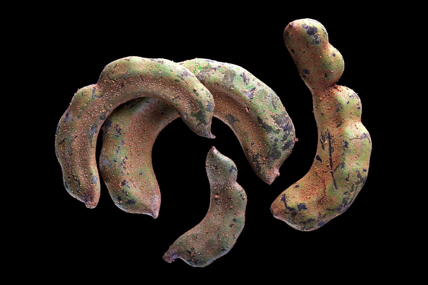 Tamarinde: Angenehme Säure Tamarinde