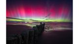 "The Red Flame" – Nationalpark Wattenmeer, Deutschland