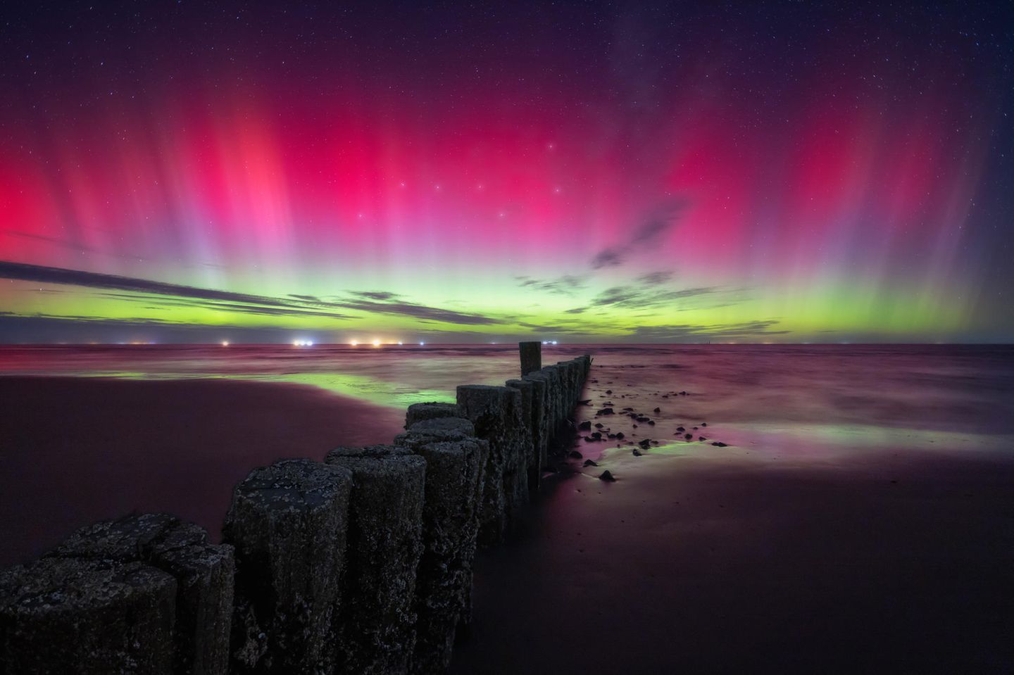 "The Red Flame" – Nationalpark Wattenmeer, Deutschland "The Red Flame" – Nationalpark Wattenmeer, Deutschland