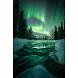 "Circle of Life" – Lappland, Finnland