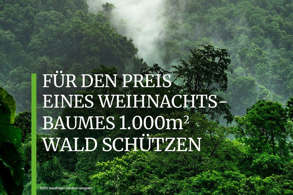 Spendenaktion: Unterstützen Sie unseren Landkauf: 1000m2 kosten nur 70 Euro  1.5