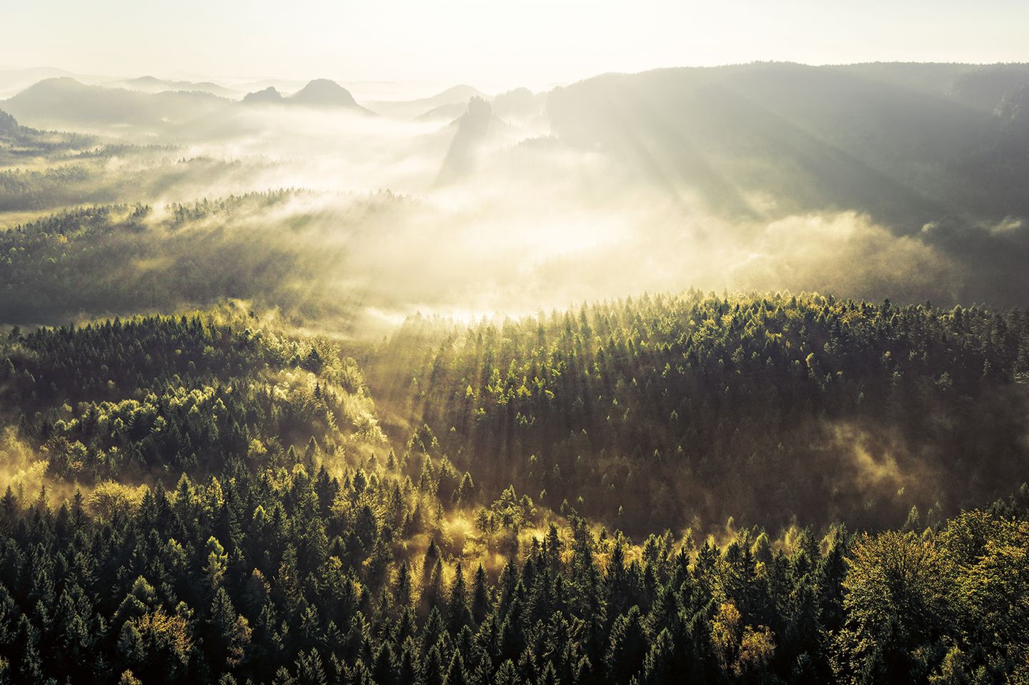 Trockental "Kleiner Zschand" liegt im Nebel und Sonnenlicht fällt über die Szenerie