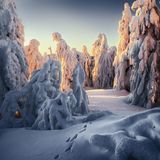 Eine dichte Schneedecke legt sich über den Fichtelberg im Erzgebirge