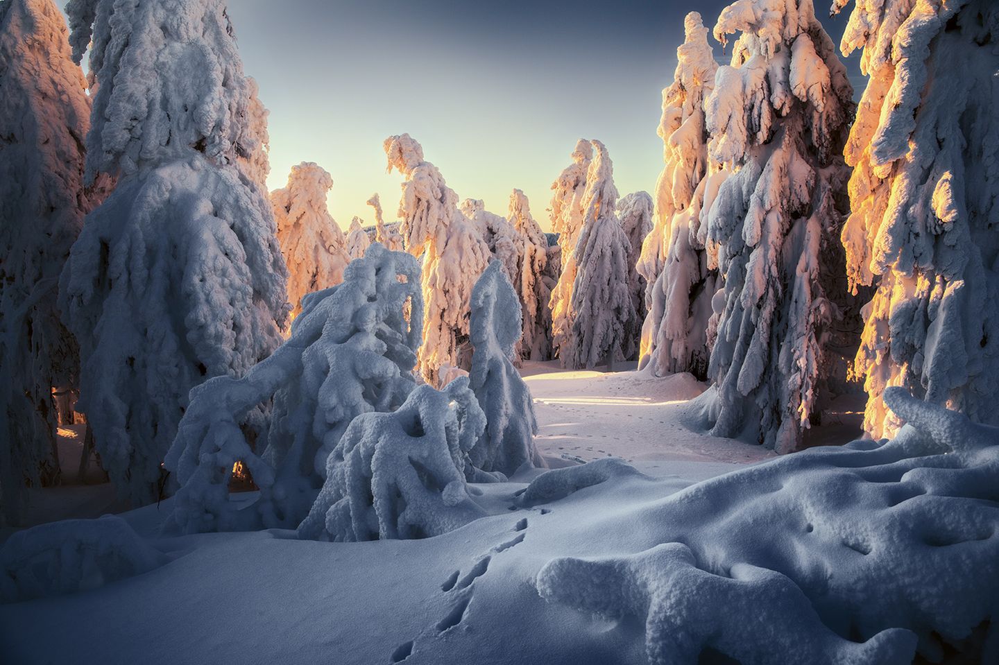 Eine dichte Schneedecke legt sich über den Fichtelberg im Erzgebirge