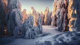 Eine dichte Schneedecke legt sich über den Fichtelberg im Erzgebirge