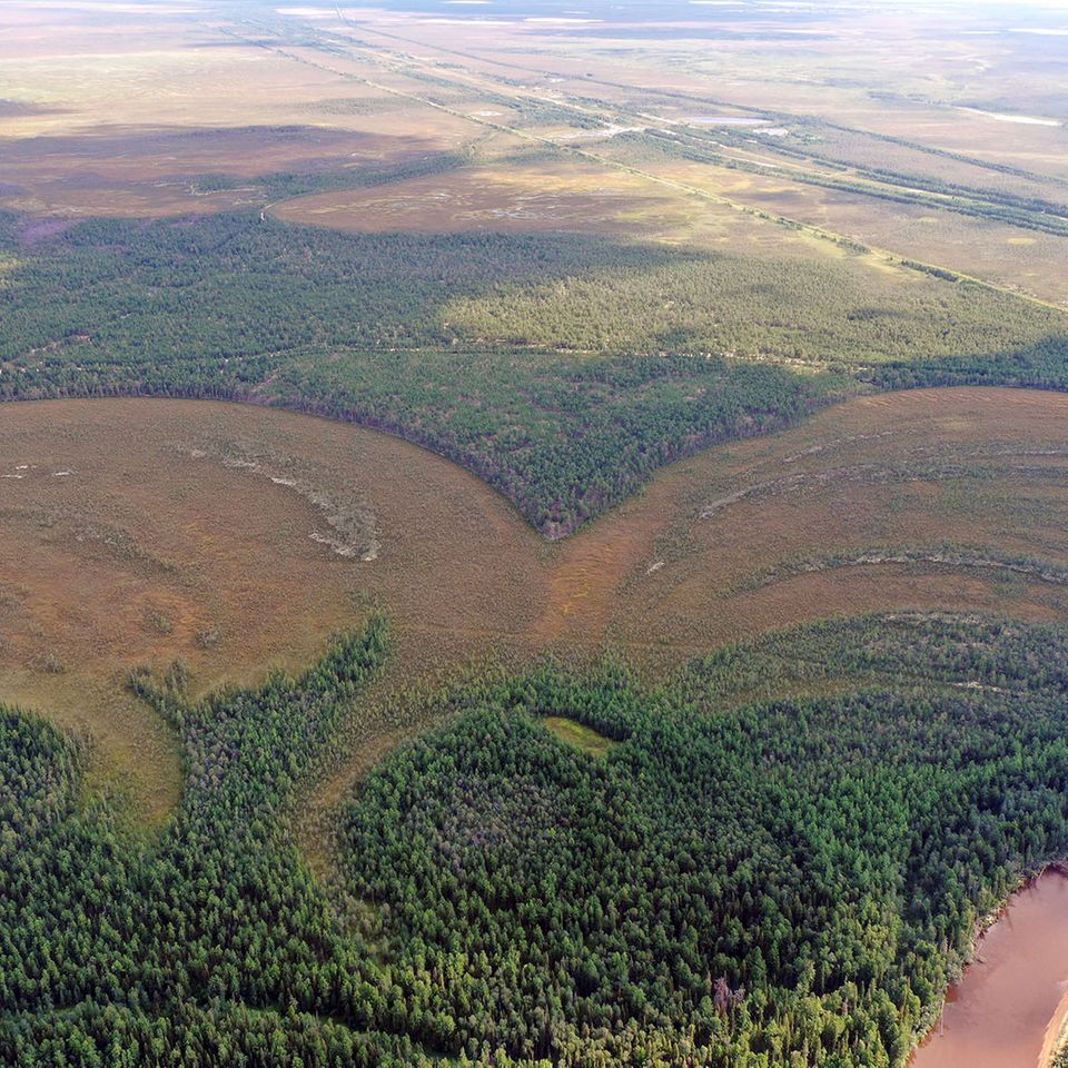 Blick von oben auf eine Flusslandschaft mit auffällig runden Geländeformationen