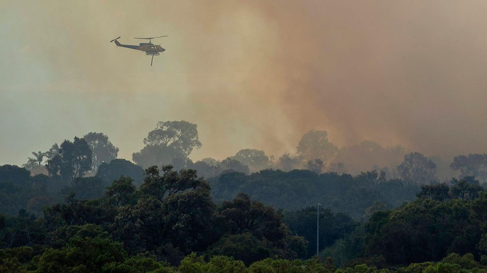 Helikopter fliegt über einen brennenden Wald