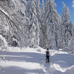 Person wandert in Schneelandschaft