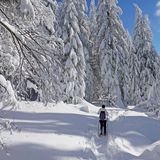 Person wandert in Schneelandschaft