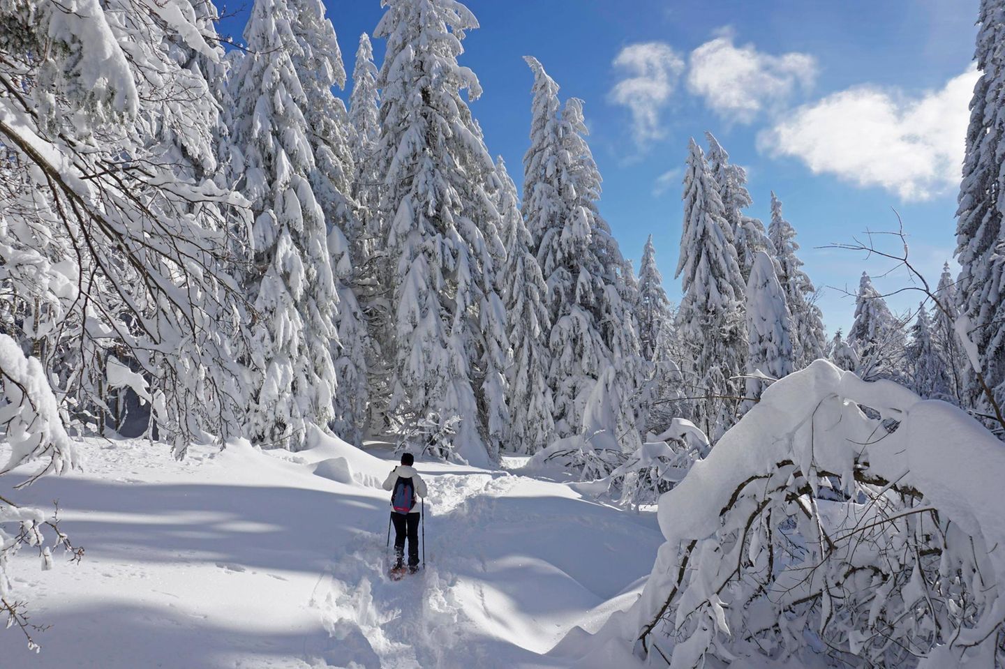Einmal "Kopf frei": Wandern auf dem Feldberg Person wandert in Schneelandschaft