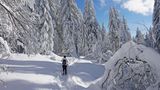 Einmal "Kopf frei": Wandern auf dem Feldberg Person wandert in Schneelandschaft