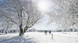 Langläufer in Winterlandschaft