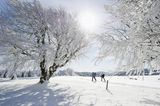 Langläufer in Winterlandschaft