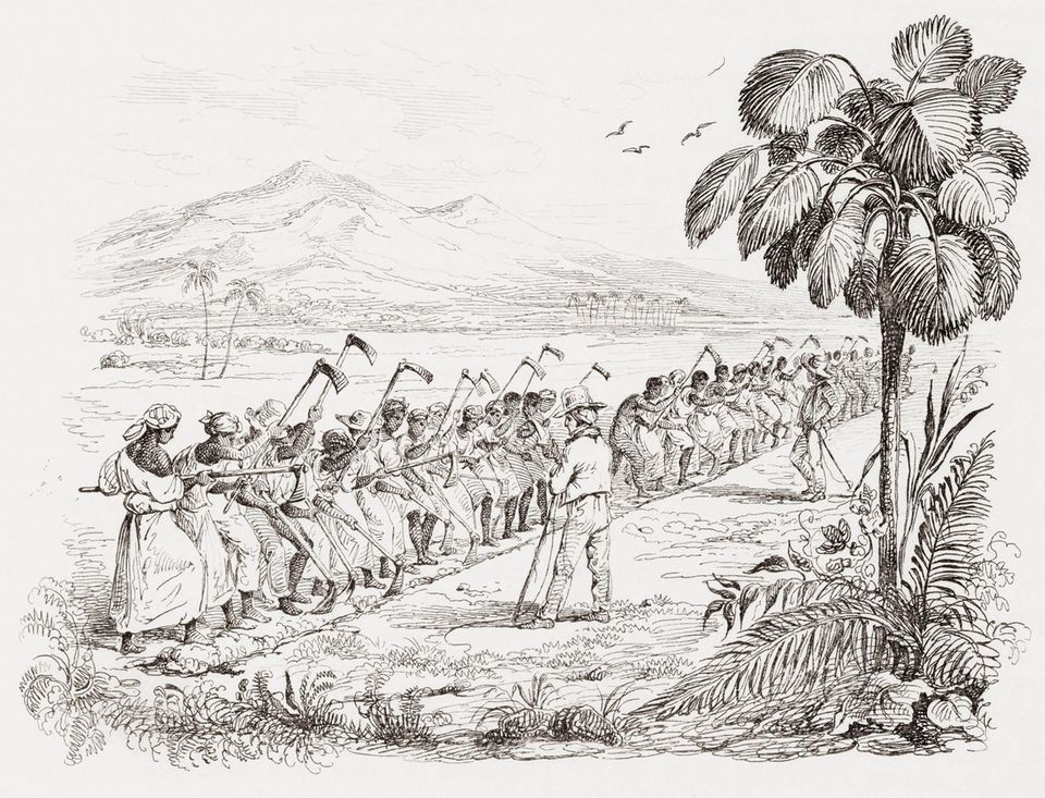 Joséphine de Beauharnais 10 erstaunliche Fakten [GEO]