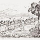 Sklaven bei der Feldarbeit