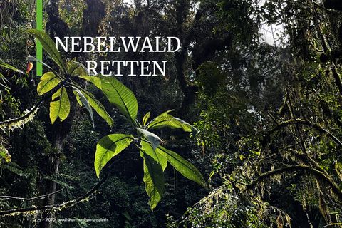 Ecuador: Landkauf "Varela": Stand des Projektes
