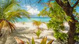 Palmen ragen wie von der Natur geschaffene Sonnenschirme über den Sandstrand der Insel Filitheyo