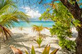 Palmen ragen wie von der Natur geschaffene Sonnenschirme über den Sandstrand der Insel Filitheyo