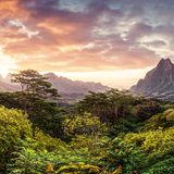 Pastellfarbene Wolken über dem Mont Rotui, Französisch-Polynesien