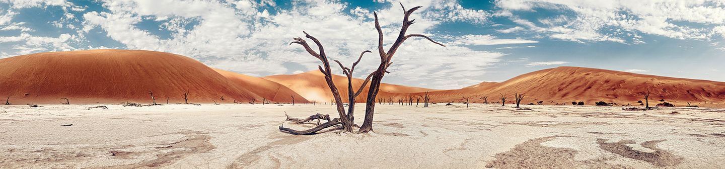 Stille von DeadVlei und Sossusvlei, Namibia Versteinerte Kameldornbäume in der Namib-Wüste