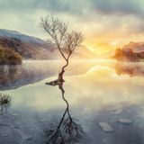 Llyn Padarn, Wales