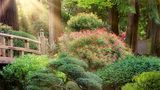 Die "Moon Bridge" im japanischen Garten von Portland ist nicht nur eine Holzbrücke. Im Sinne fernöstlicher Philosophie steht sie für die Verbundenheit des Menschen mit der Natur, für Harmonie und hohe Handwerkskunst. Über einen glucksenden Bach hinweg verbindet sie verschiedene traditionelle japanische Gartentypen miteinander, führt zu Teichen, einem Teehaus, Kiefernhainen, Kiesgärten – und im Frühling auch zu rosarot blühenden Azaleen
