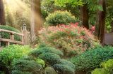 Die "Moon Bridge" im japanischen Garten von Portland ist nicht nur eine Holzbrücke. Im Sinne fernöstlicher Philosophie steht sie für die Verbundenheit des Menschen mit der Natur, für Harmonie und hohe Handwerkskunst. Über einen glucksenden Bach hinweg verbindet sie verschiedene traditionelle japanische Gartentypen miteinander, führt zu Teichen, einem Teehaus, Kiefernhainen, Kiesgärten – und im Frühling auch zu rosarot blühenden Azaleen