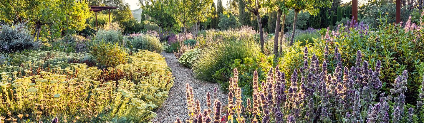 Man nehme einen britischen Top-Gartendesigner, Experte für nachhaltige Naturlandschaften, und lasse ihn an der Riviera bei Nizza eine Grünanlage gestalten. Et voilà: Was James Basson hier erschuf, ist ein Schmuckstück von einem mediterranen Trockengarten. Geschwungene Kieswege führen vorbei an duftenden Heil-, Zier- und Küchenpflanzen, Blüten von Schafgarbe, Lavendel und Mandelbäumen bieten dazu noch den Bienen ein köstliches Buffet