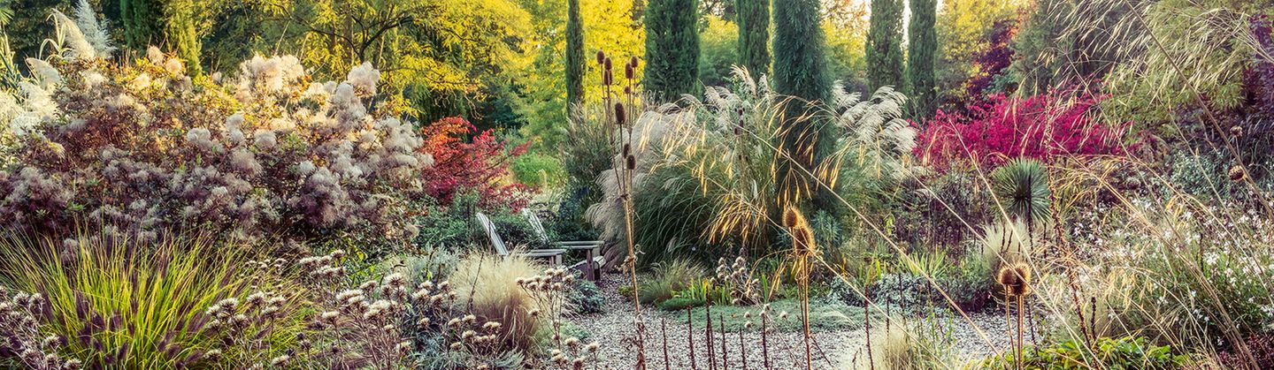 Dieser vom Landschaftsdesigner Peter Janke entworfene Kiesgarten beweist eindrucksvoll, wie Grünanlagen sogar in der kalten Jahreszeit begeistern können. Hier sprießt auch im Herbst so einiges: Feder- und Lampenputzergras, Perückensträucher, Golddistel, Elfenbein-Mannstreu, Wilde Karde, Prachtkerzen und Chinaschilf. Die überragende Rolle dabei, im wahrsten Sinne des Wortes, spielen Mittelmeer-Zypressen. Alles in allem ein Spiegel saisonaler Vielfalt