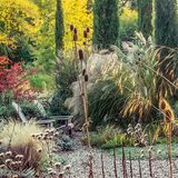 Dieser vom Landschaftsdesigner Peter Janke entworfene Kiesgarten beweist eindrucksvoll, wie Grünanlagen sogar in der kalten Jahreszeit begeistern können. Hier sprießt auch im Herbst so einiges: Feder- und Lampenputzergras, Perückensträucher, Golddistel, Elfenbein-Mannstreu, Wilde Karde, Prachtkerzen und Chinaschilf. Die überragende Rolle dabei, im wahrsten Sinne des Wortes, spielen Mittelmeer-Zypressen. Alles in allem ein Spiegel saisonaler Vielfalt