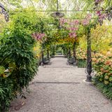 Ausruhen, durchatmen, dem Gezwitscher der Vögel lauschen: Wo könnte man dies nach einem hektischen Sightseeing-Tag durch die Lagunenstadt besser als in einer hübschen Grünoase? Die Sitzbänke in den Giardini Reali, den ehemals Königlichen Gärten von Venedig, laden dazu ein. Im 19. Jahrhundert sprach man von den "Napoleonischen Gärten". Diese wurden mit viel Sinn für historische Details restauriert und befinden sich als grüne Lunge der Stadt nahe dem Markusplatz