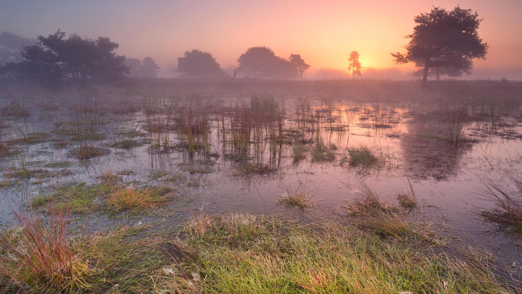 Sonnenaufgang in einen Moor