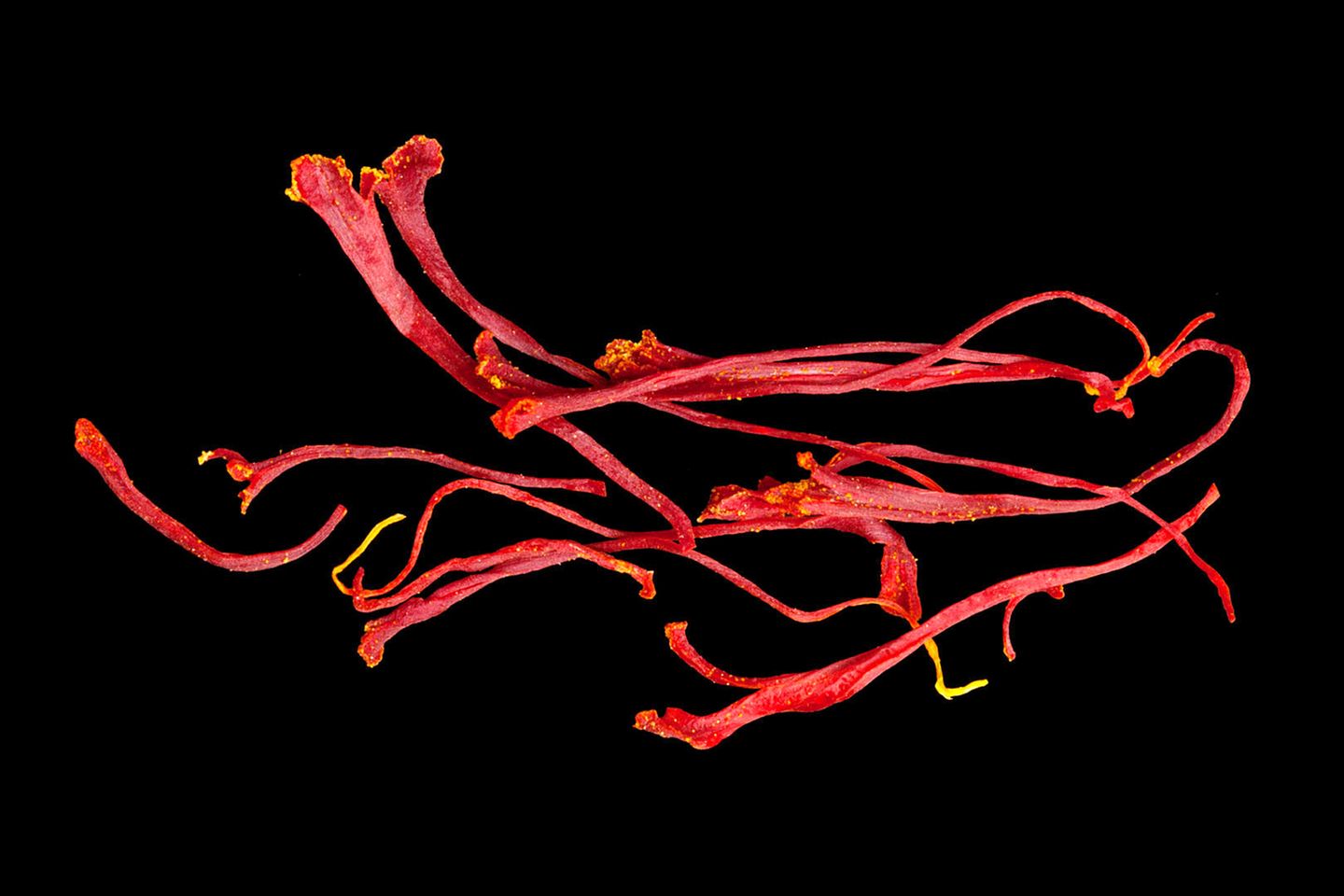 Safran: Kostbarer Krokus Safran