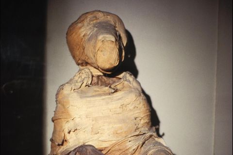 Mumifizierter Pavian in Sitzhaltung Mumifizierter Pavian in Sitzhaltung