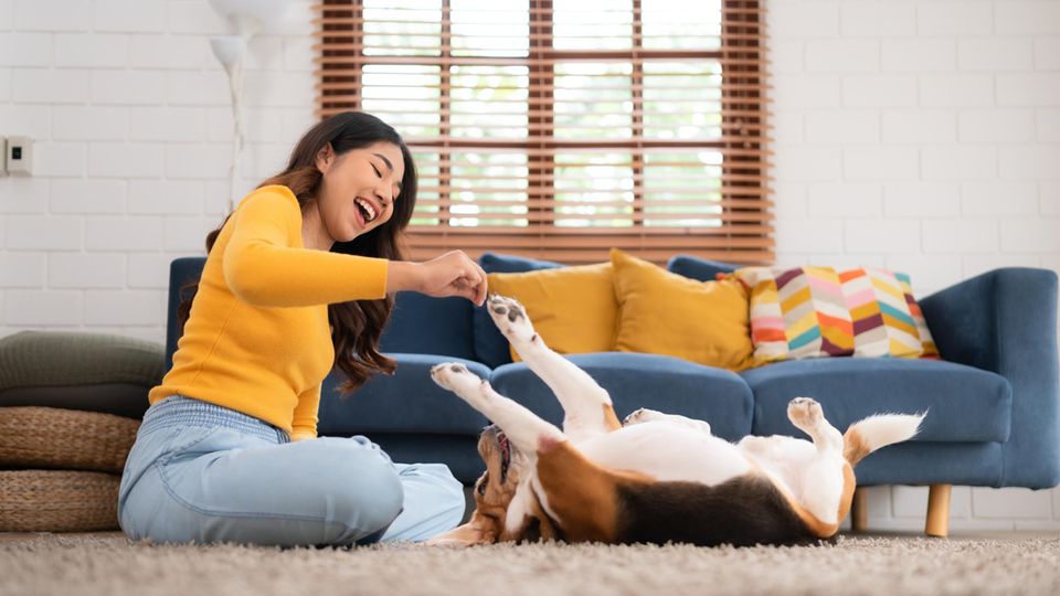 Frau übt Tricks mit ihrem Hund