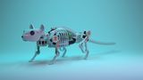 NeRmo, der Maus-Roboter
