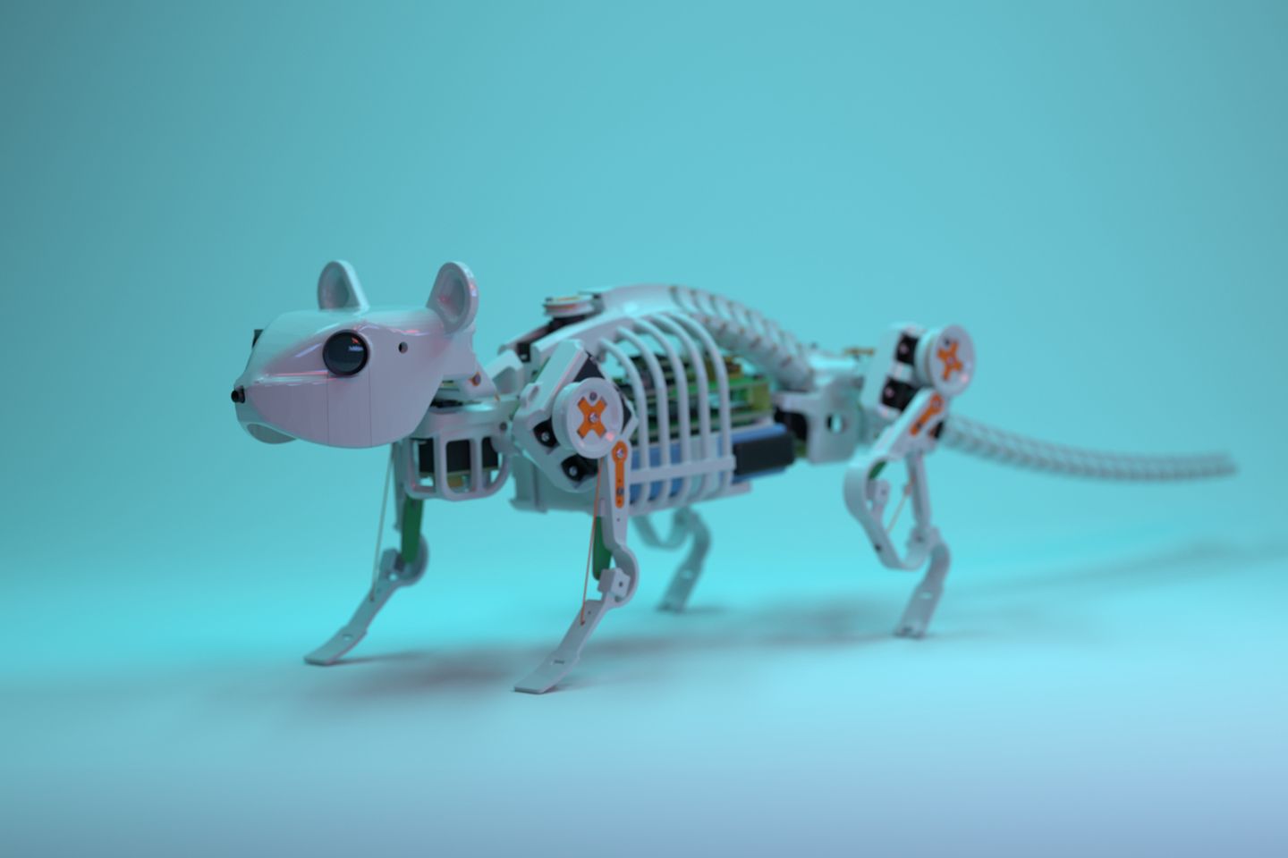 NeRmo, der Maus-Roboter