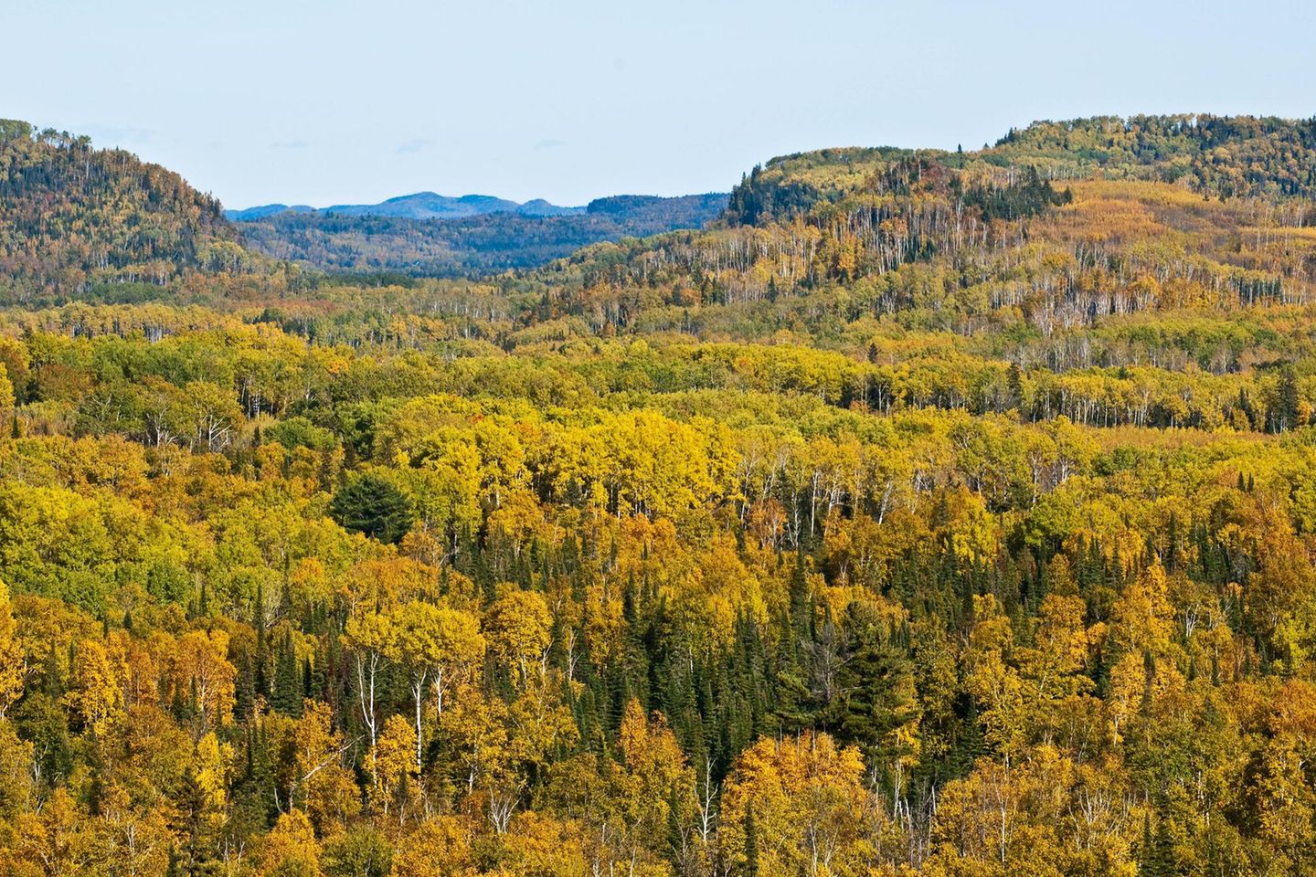 Thunder Bay: Tor zur Wildnis Thunder Bay: Tor zur Wildnis