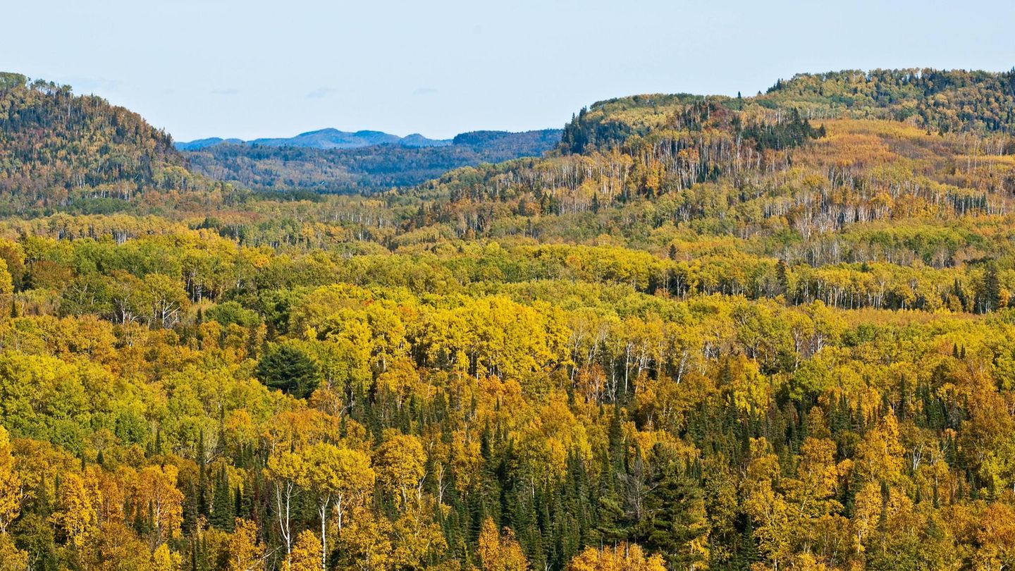 Thunder Bay: Tor zur Wildnis Thunder Bay: Tor zur Wildnis